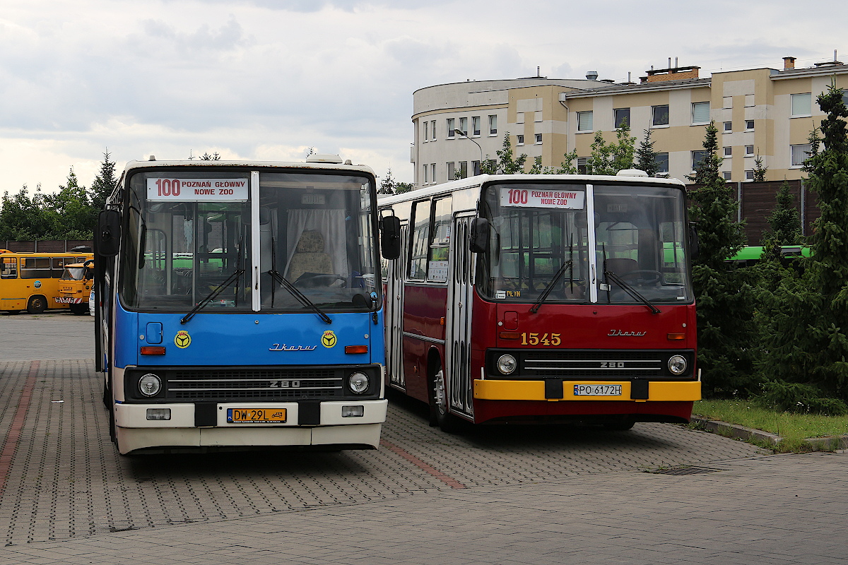 Jeździmy w Poznaniu