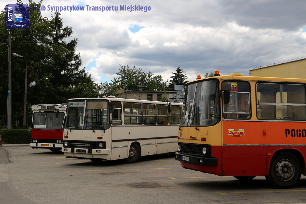 Uczestniczyliśmy w prezentacji nowych autobusów w MPK Świdnica