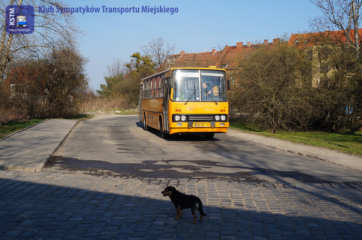 Powitanie wiosny naszymi autobusami