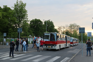 Kolumna czerwonych autobusów podczas pożegnania linii C we Wrocławiu